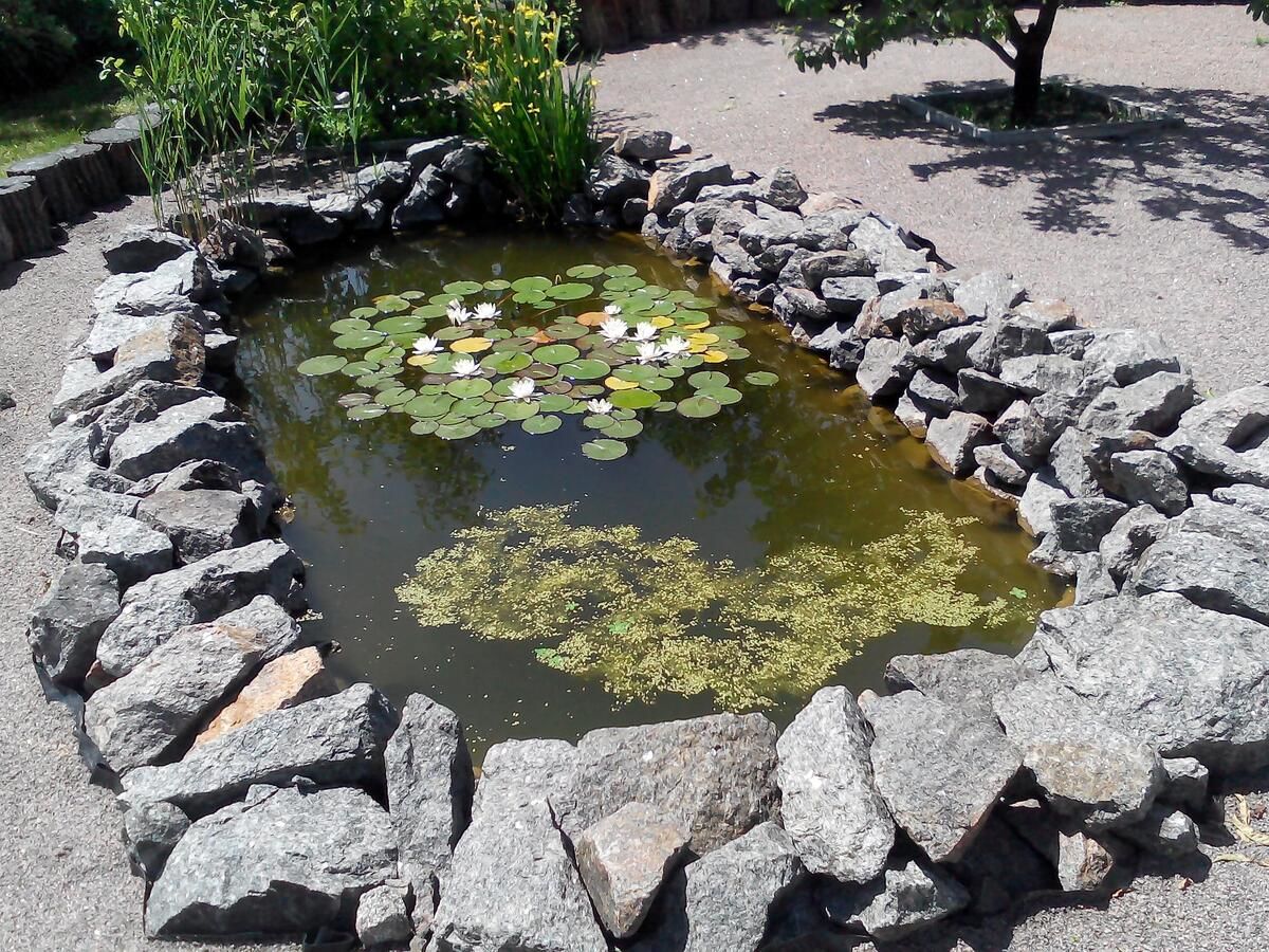Загородные дома Садиба зеленого туризму «Золота рибка» Медведевка-13