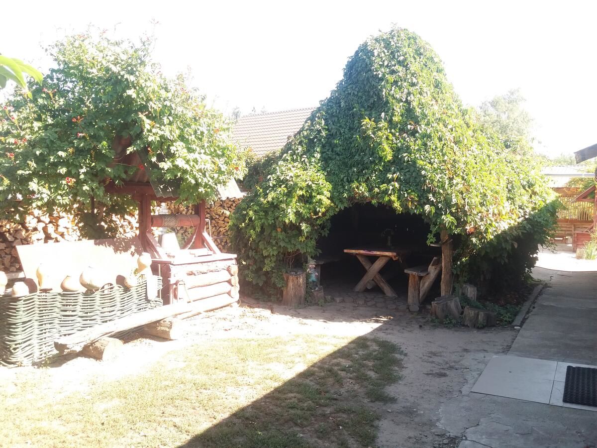 Загородные дома Садиба зеленого туризму «Золота рибка» Медведевка-16
