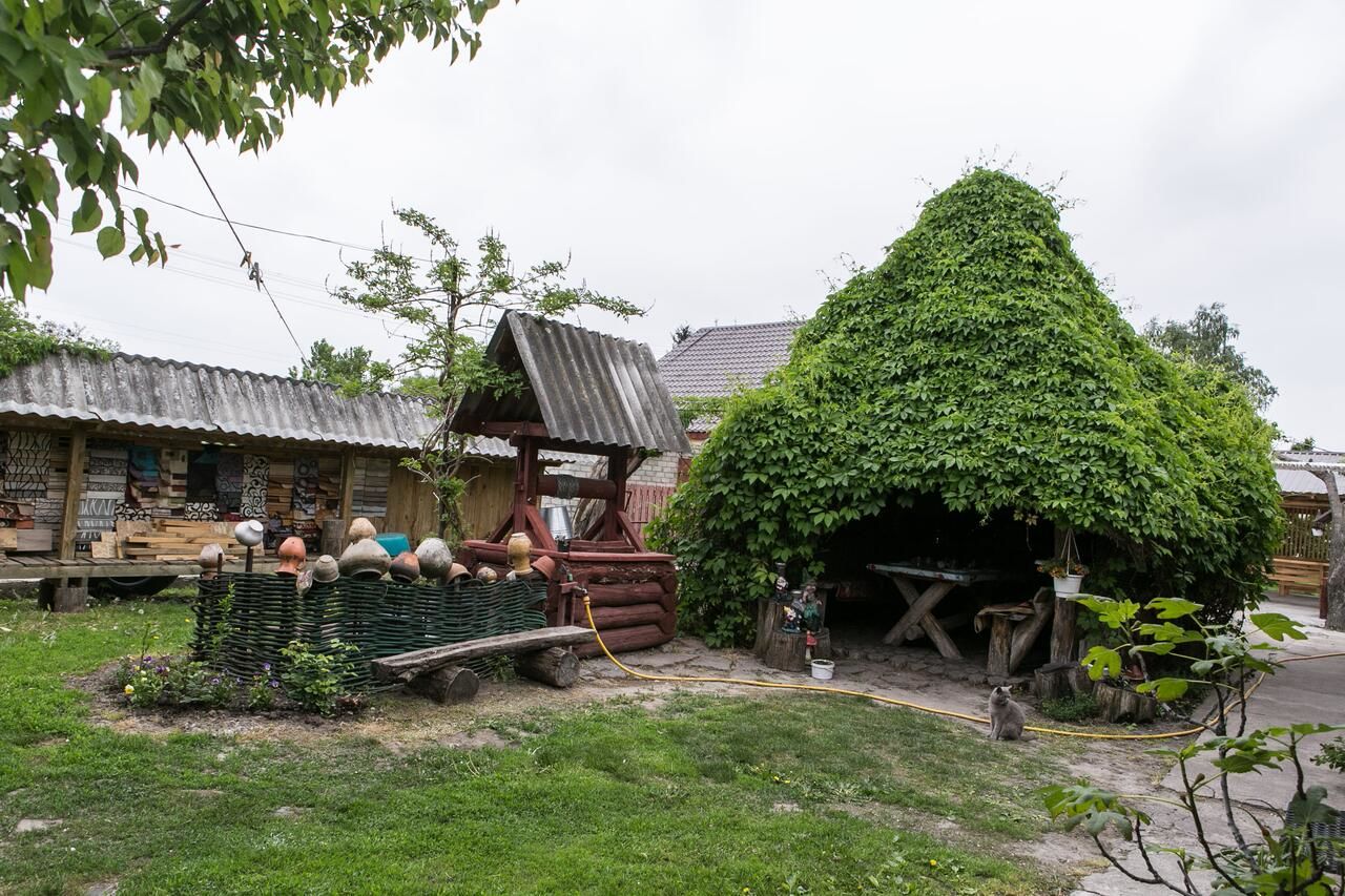 Загородные дома Садиба зеленого туризму «Золота рибка» Медведевка-9