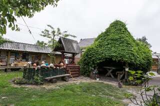 Загородные дома Садиба зеленого туризму «Золота рибка» Медведевка-5